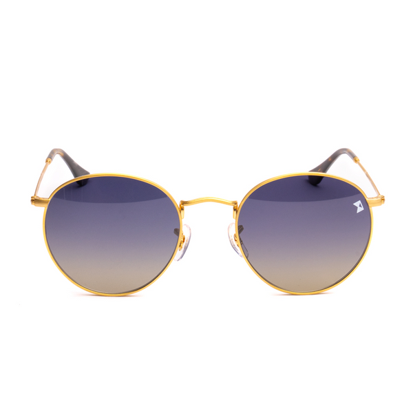 Williampainer sunglasses best sale